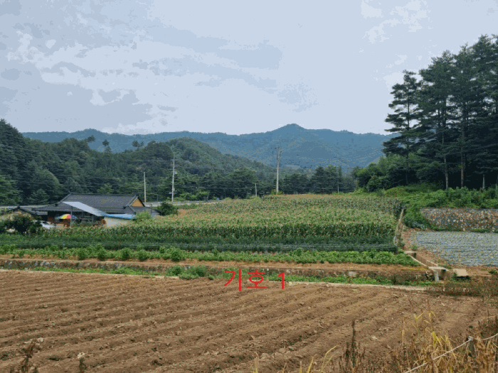 강원특별자치도 삼척시 하장면 장전리 180-1 하천 경매 사진 3