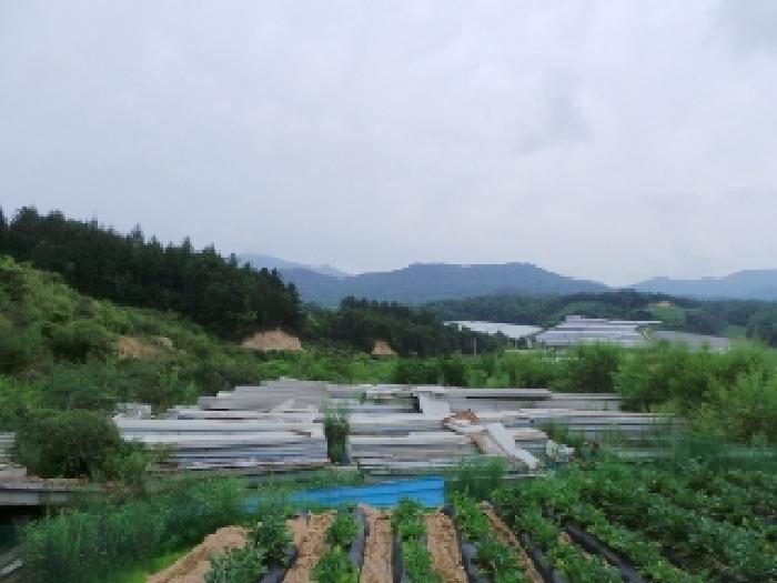 강원특별자치도 평창군 대관령면 용산리 362-16 외 13필지 임야 경매 사진 6
