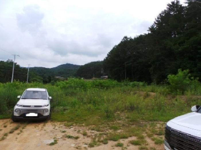 강원특별자치도 평창군 진부면 간평리 90-1 외 10필지 대지 경매 사진 12