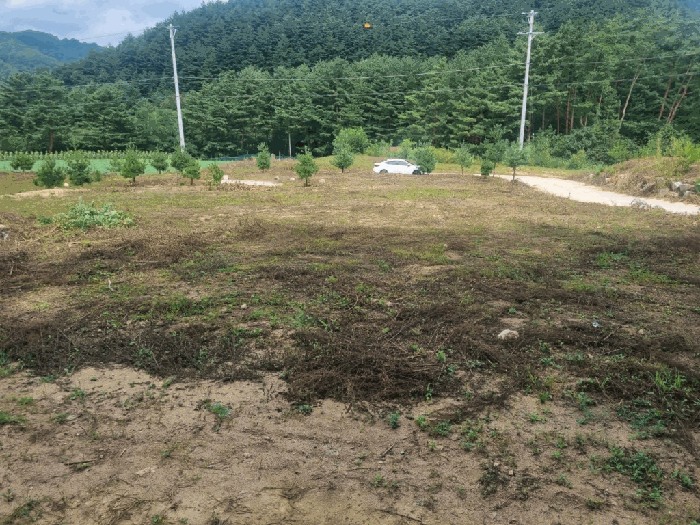 강원특별자치도 평창군 진부면 간평리 90-1 외 10필지 대지 경매 사진 15