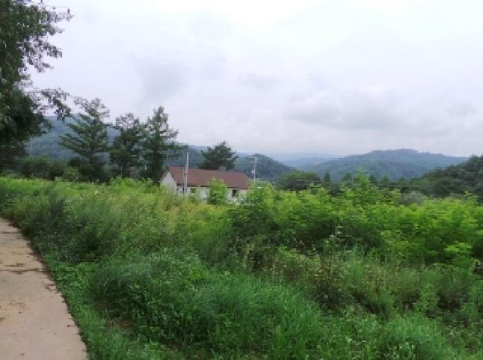 강원특별자치도 평창군 진부면 간평리 90-1 외 10필지 대지 경매 사진 8