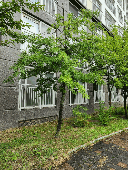 충청북도 충주시 중앙탑면 용전리 696 신우희가로아파트 109동 1층105호 아파트 경매 사진 22