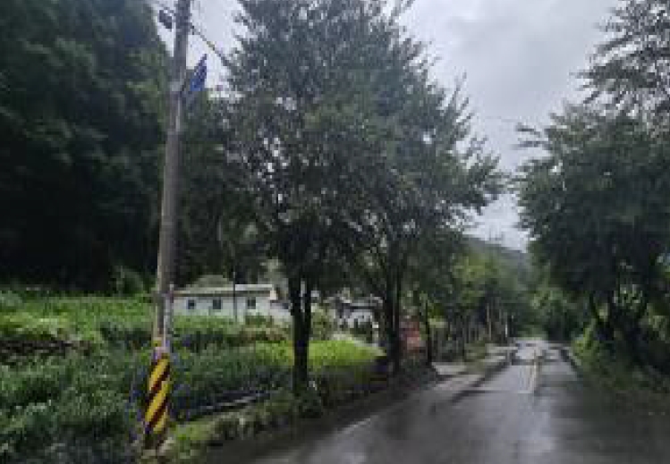 충청북도 제천시 백운면 덕동리 산154-1 임야 경매 사진 17