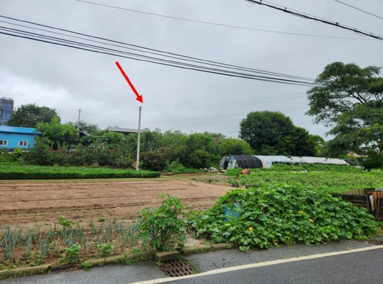 충청남도 홍성군 홍성읍 월산리 51-1 외 2필지 대지 경매 사진 2
