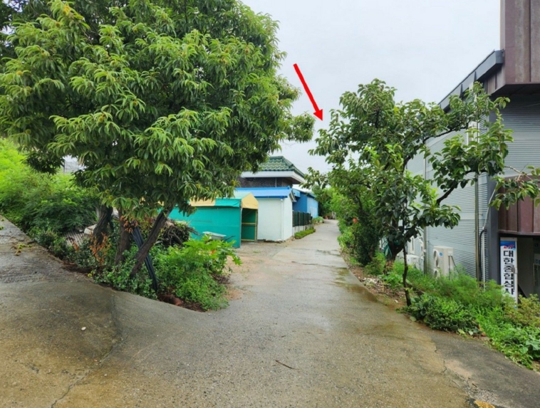충청남도 홍성군 홍성읍 월산리 51-1 외 2필지 대지 경매 사진 3
