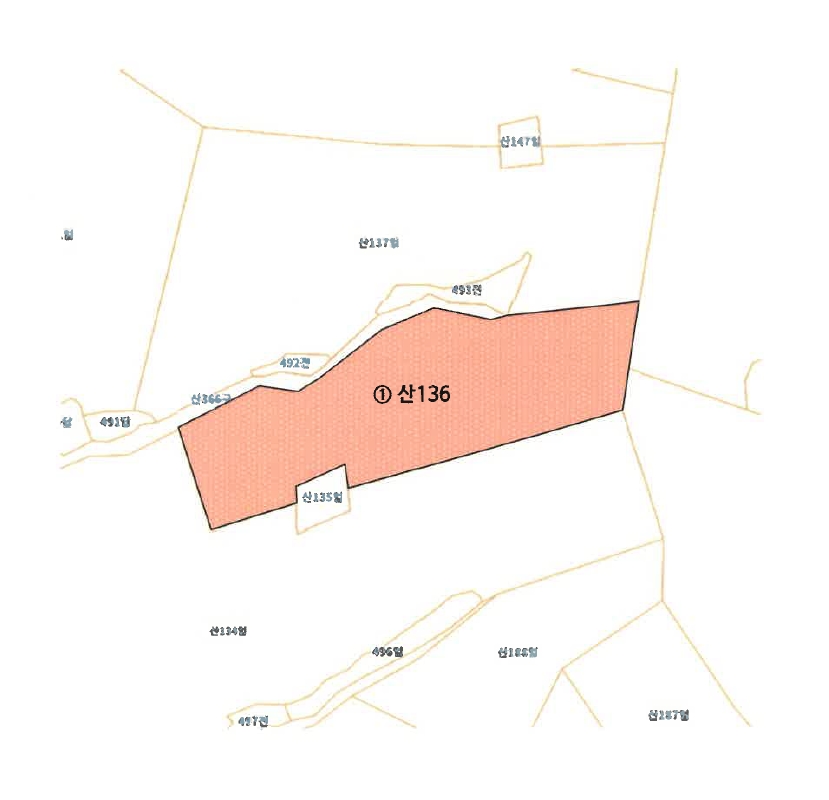 경상남도 진주시 미천면 어옥리 산136 임야 경매 사진 10