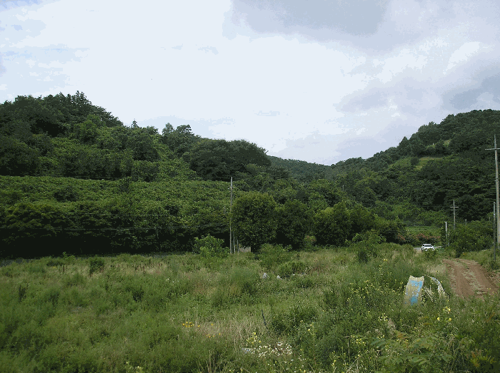 전라남도 화순군 백아면 원리 442 외 5필지 전 경매 사진 18