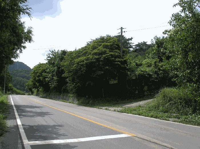 전라남도 화순군 백아면 원리 442 외 5필지 전 경매 사진 19