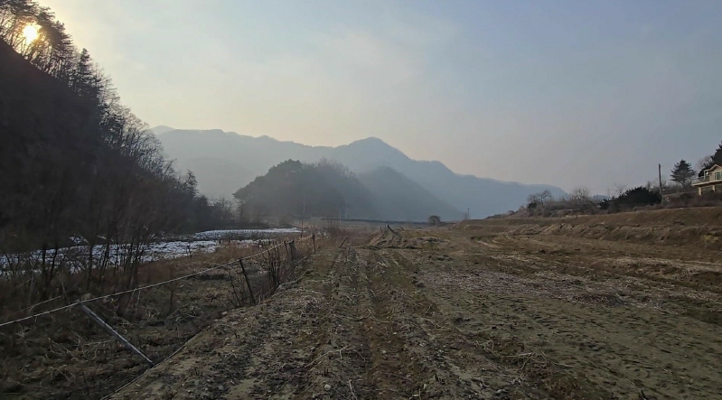 충청북도 제천시 백운면 애련리 477 외 13필지 답 경매 사진 11