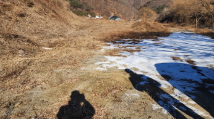 충청북도 제천시 백운면 애련리 477 외 13필지 답 경매 사진 13
