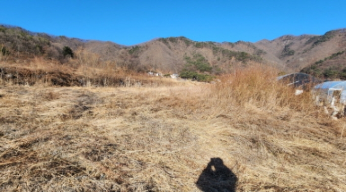 충청북도 제천시 백운면 애련리 477 외 13필지 답 경매 사진 19