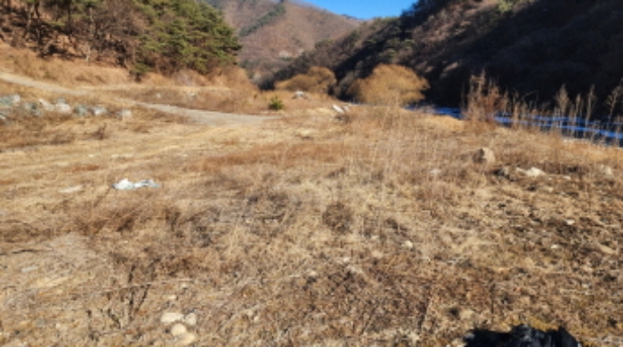 충청북도 제천시 백운면 애련리 477 외 13필지 답 경매 사진 32
