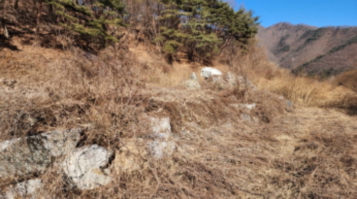 충청북도 제천시 백운면 애련리 477 외 13필지 답 경매 사진 36