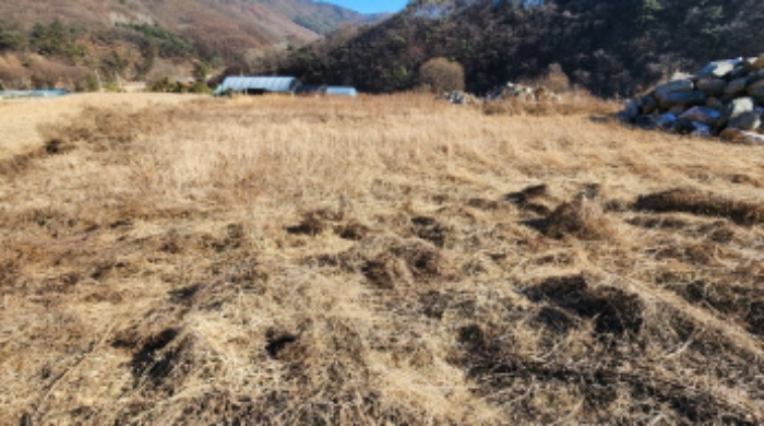 충청북도 제천시 백운면 애련리 477 외 13필지 답 경매 사진 37
