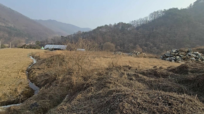 충청북도 제천시 백운면 애련리 477 외 13필지 답 경매 사진 7