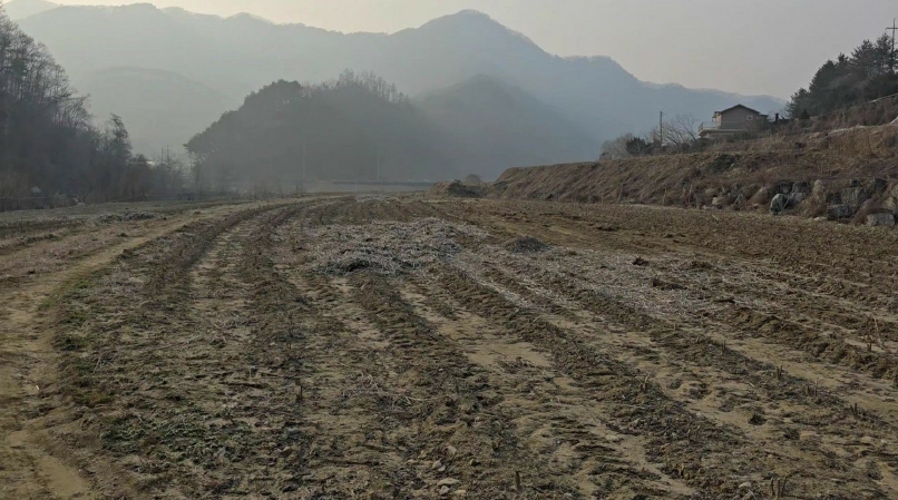 충청북도 제천시 백운면 애련리 477 외 13필지 답 경매 사진 10