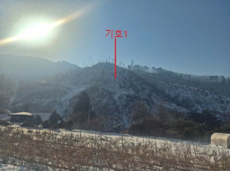 충청북도 제천시 봉양읍 학산리 산10 임야 경매 사진 9