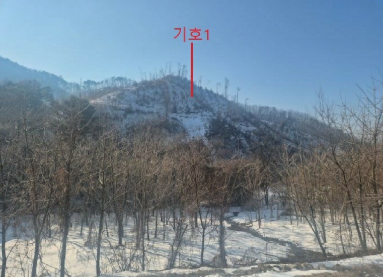 충청북도 제천시 봉양읍 학산리 산10 임야 경매 사진 10