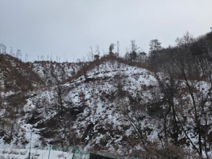 충청북도 제천시 봉양읍 학산리 산10 임야 경매 사진 11