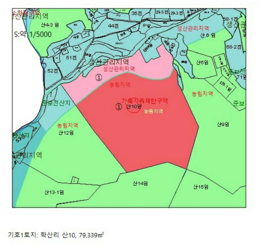 충청북도 제천시 봉양읍 학산리 산10 임야 경매 사진 15
