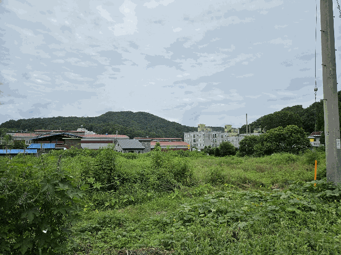 경기도 동두천시 광암동 207-1 외 1필지 전 경매 사진 9
