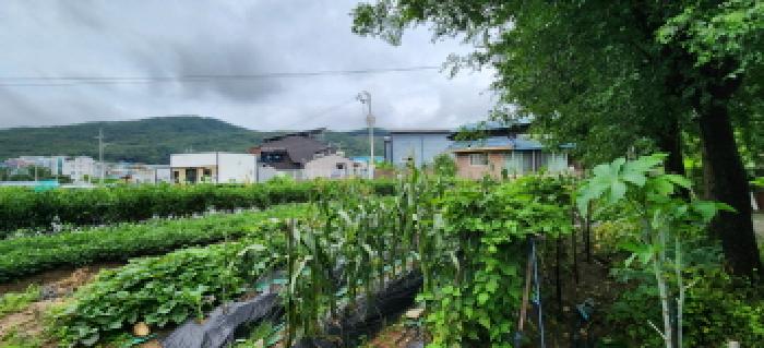 경기도 양주시 백석읍 연곡리 180-26 외 1필지 단독주택 경매 사진 11