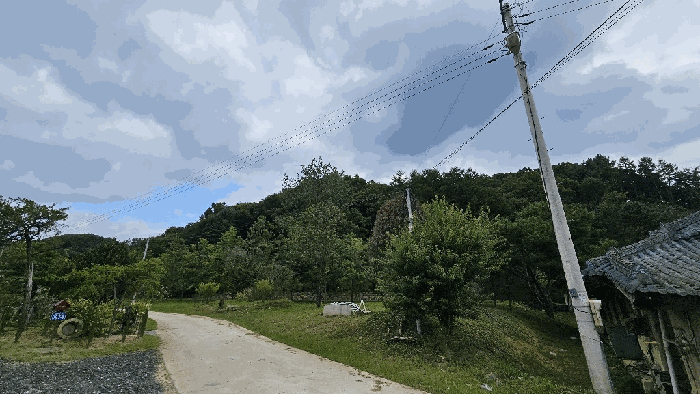 충청북도 괴산군 청안면 운곡리 산29-2 외 1필지 임야 경매 사진 3