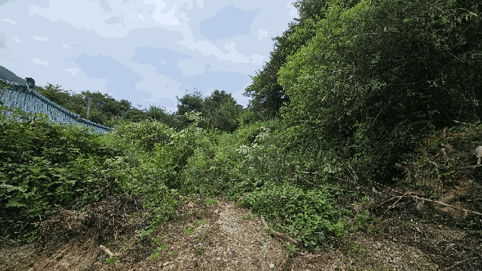 충청북도 괴산군 청안면 운곡리 산29-2 외 1필지 임야 경매 사진 5