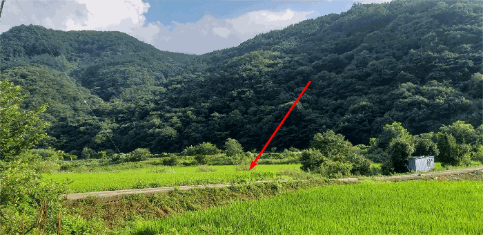충청북도 괴산군 연풍면 갈금리 162-1 답 경매 사진 12