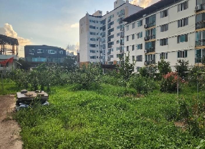 충청북도 영동군 영동읍 매천리 405-4 외 3필지 과수원 경매 사진 1