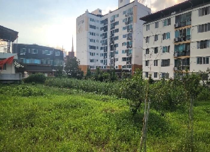 충청북도 영동군 영동읍 매천리 405-4 외 3필지 과수원 경매 사진 5