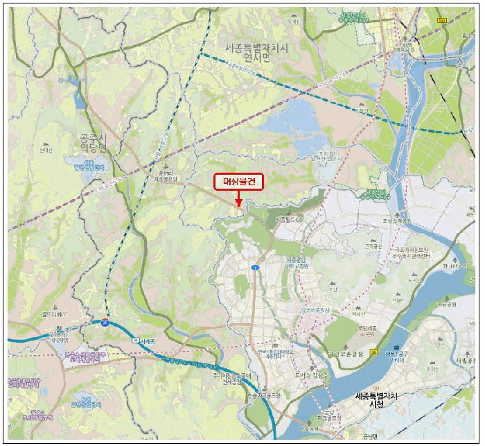 세종특별자치시 연기면 수산리 68-2 전 경매 사진 12