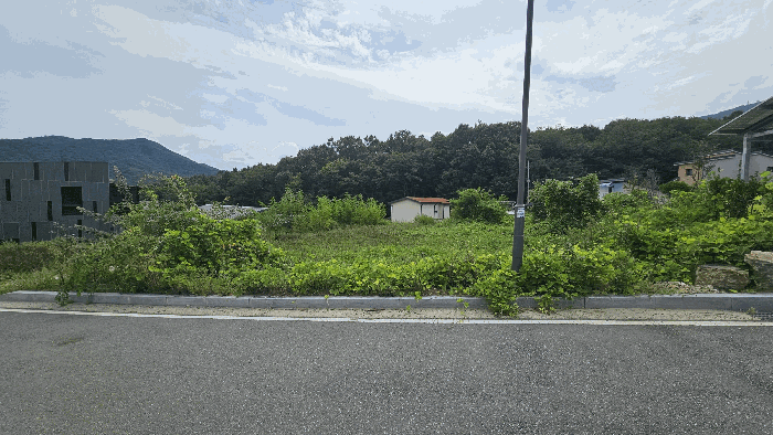 경상북도 김천시 어모면 도암리 1486 대지 경매 사진 13