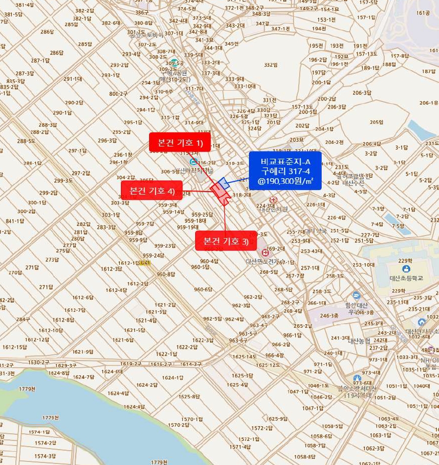 경상남도 함안군 대산면 구혜리 317-2 외 2필지 상가주택 경매 사진 16
