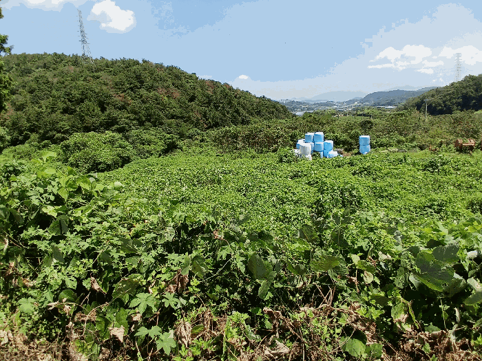 전라남도 여수시 율촌면 산수리 1445 전 경매 사진 10