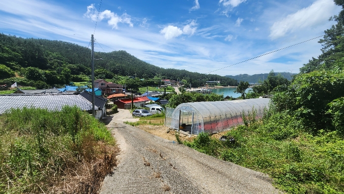 전라남도 완도군 노화읍 동천리 268 전 경매 사진 8