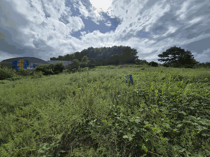 충청남도 아산시 신창면 가덕리 447-1 전 경매 사진 17