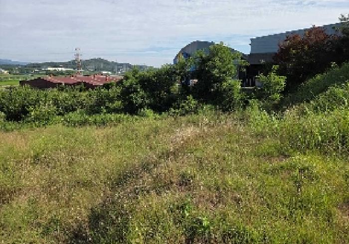 충청남도 아산시 신창면 가덕리 447-1 전 경매 사진 9