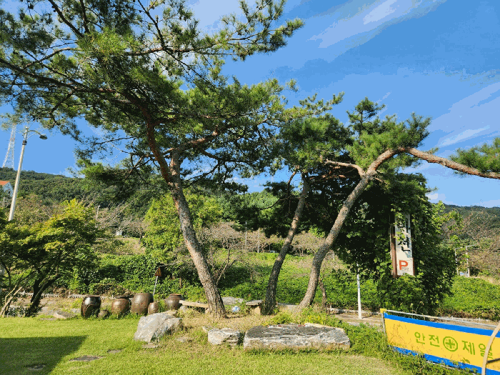 충청남도 아산시 음봉면 신수리 286-8 잡종지 경매 사진 45