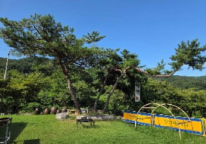 충청남도 아산시 음봉면 신수리 286-8 잡종지 경매 사진 31