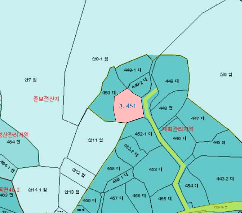 전라남도 나주시 왕곡면 장산리 451 대지 경매 사진 7