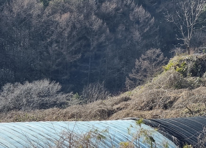 경상남도 하동군 청암면 묵계리 1540 답 경매 사진 63