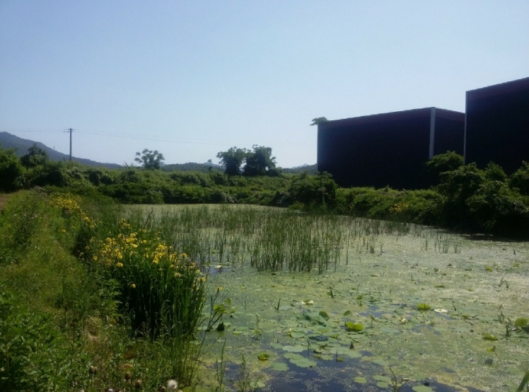 전라남도 강진군 작천면 현산리 189-1 외 10필지 공장 경매 사진 12