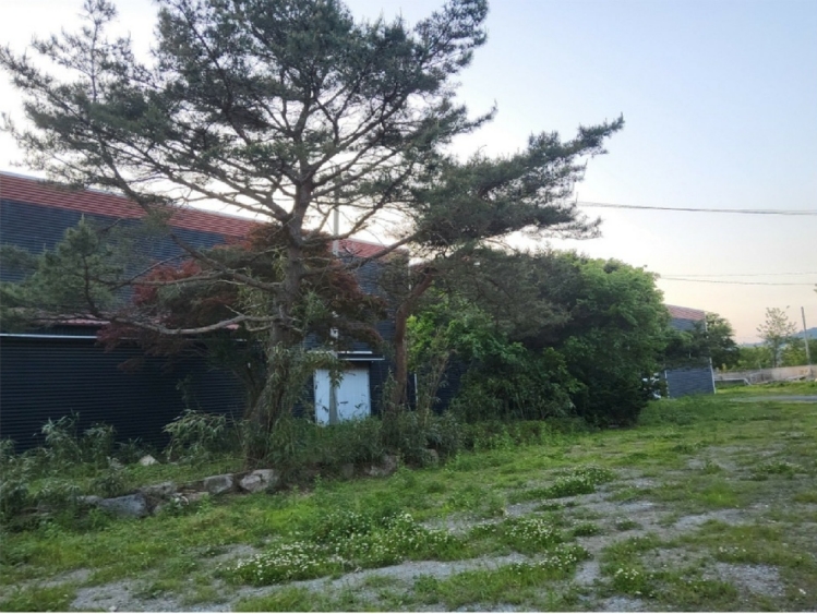 전라남도 강진군 작천면 현산리 189-1 외 10필지 공장 경매 사진 20