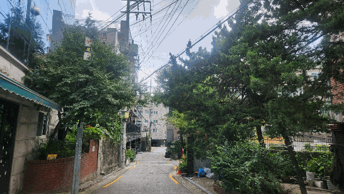 서울특별시 도봉구 쌍문동 533-31 에이동 제지하층 제1호 다세대(빌라) 경매 사진 25