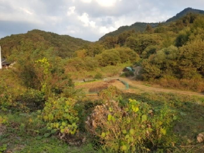 강원특별자치도 홍천군 남면 양덕원리 22-2 외 3필지 공장 경매 사진 79