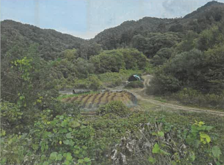 강원특별자치도 홍천군 남면 양덕원리 22-2 외 3필지 공장 경매 사진 10