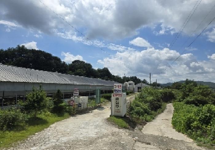 충청북도 음성군 원남면 보룡리 42-5 외 6필지 동물및식물관련시설 경매 사진 1
