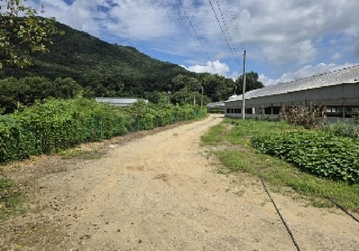 충청북도 음성군 원남면 보룡리 42-5 외 6필지 동물및식물관련시설 경매 사진 14