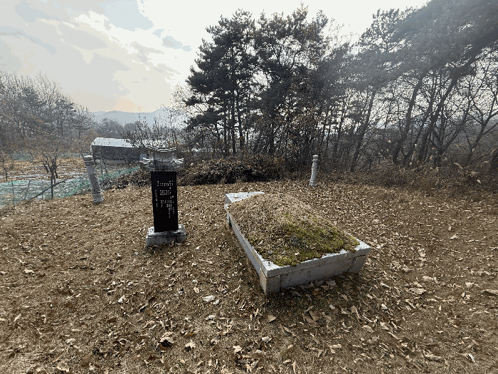 충청북도 음성군 원남면 보룡리 42-5 외 6필지 동물및식물관련시설 경매 사진 30